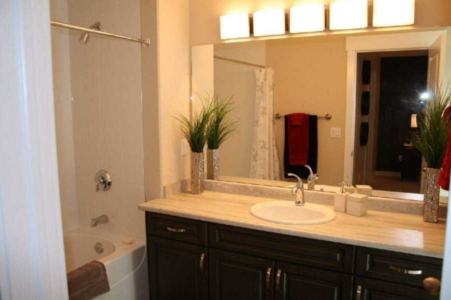 The Taylor The Taylor The Taylor The Taylor The Taylor The Taylor The Taylor The Taylor The Taylor The Taylor The Taylor The Taylor The Taylor The Taylor The Taylor The Taylor