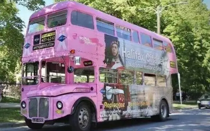 Big Pink Hop On Hop Off 001 a589c3f7