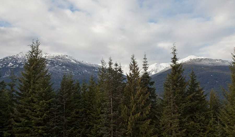 Luxury Chalet Whistler Painted Luxury Chalet Whistler Painted Luxury Chalet Whistler Painted Luxury Chalet Whistler Painted Luxury Chalet Whistler Painted Luxury Chalet Whistler Painted Luxury Chalet Whistler Painted Luxury Chalet Whistler Painted Luxury Chalet Whistler Painted Luxury Chalet Whistler Painted Luxury Chalet Whistler Painted Luxury Chalet Whistler Painted