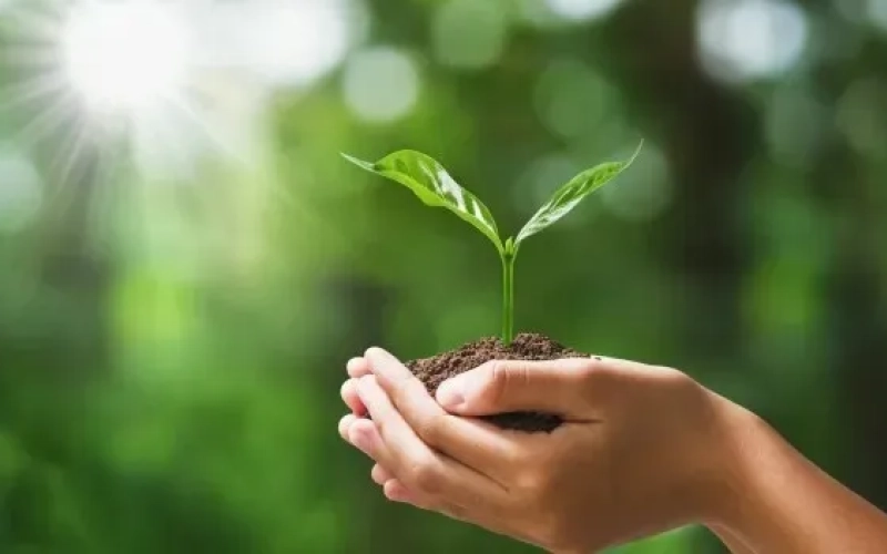 02 Top Attractions cfda4ea0