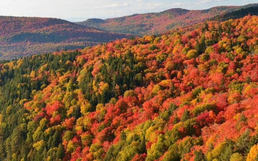 Colourful Places In Canada To See The Best Fall Foliage Colourful Places In Canada To See The Best Fall Foliage Colourful Places In Canada To See The Best Fall Foliage Colourful Places In Canada To See The Best Fall Foliage Colourful Places In Canada To See The Best Fall Foliage Colourful Places In Canada To See The Best Fall Foliage Colourful Places In Canada To See The Best Fall Foliage Colourful Places In Canada To See The Best Fall Foliage Colourful Places In Canada To See The Best Fall Foliage Colourful Places In Canada To See The Best Fall Foliage Colourful Places In Canada To See The Best Fall Foliage Colourful Places In Canada To See The Best Fall Foliage