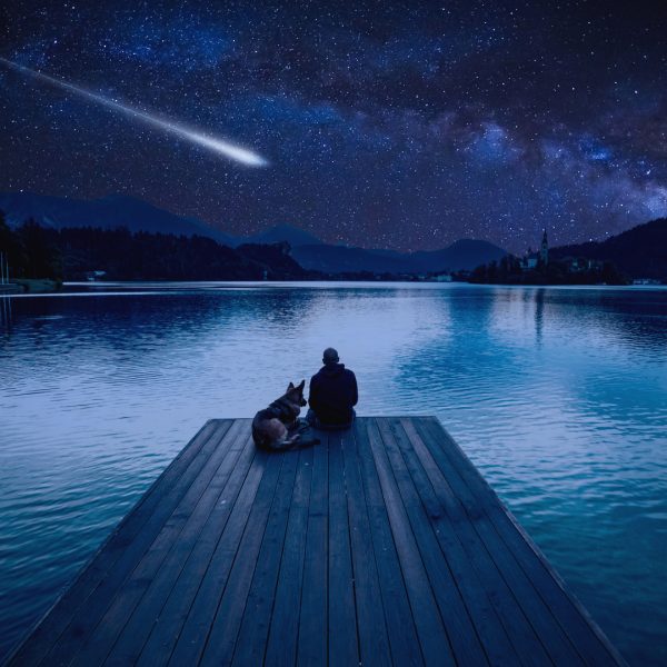 Copy of Shooting Stars copy