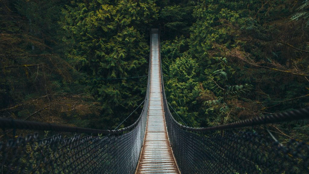 Lynn Canyon Suspension Bridge 1024x576 1
