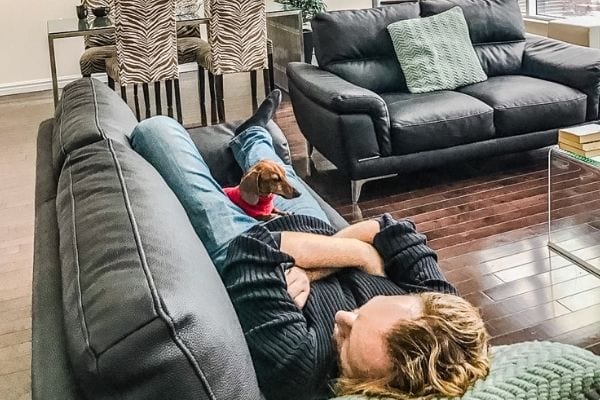 Montreal Pet Friendly Apartments Rent Corporate Stays