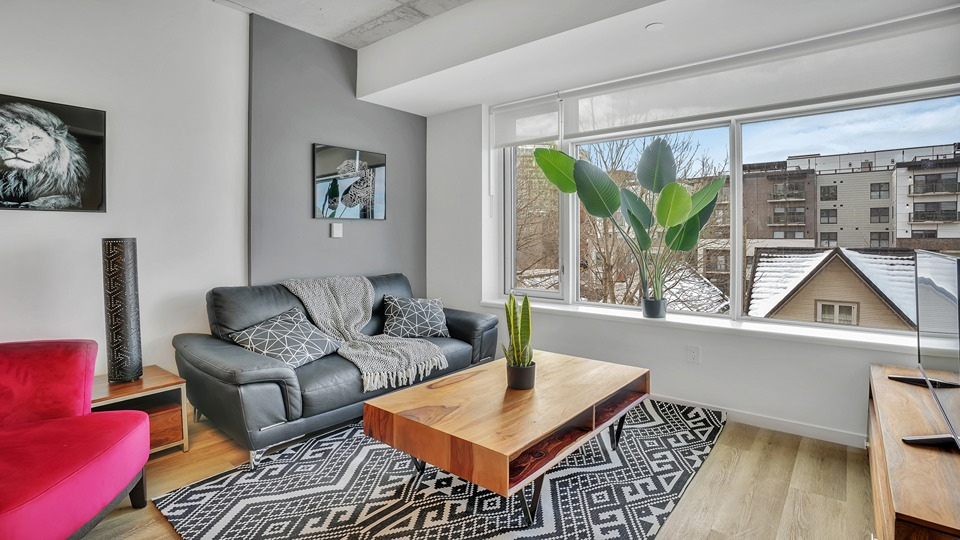 Fully furnished apartment in downtown Ottawa with modern living area