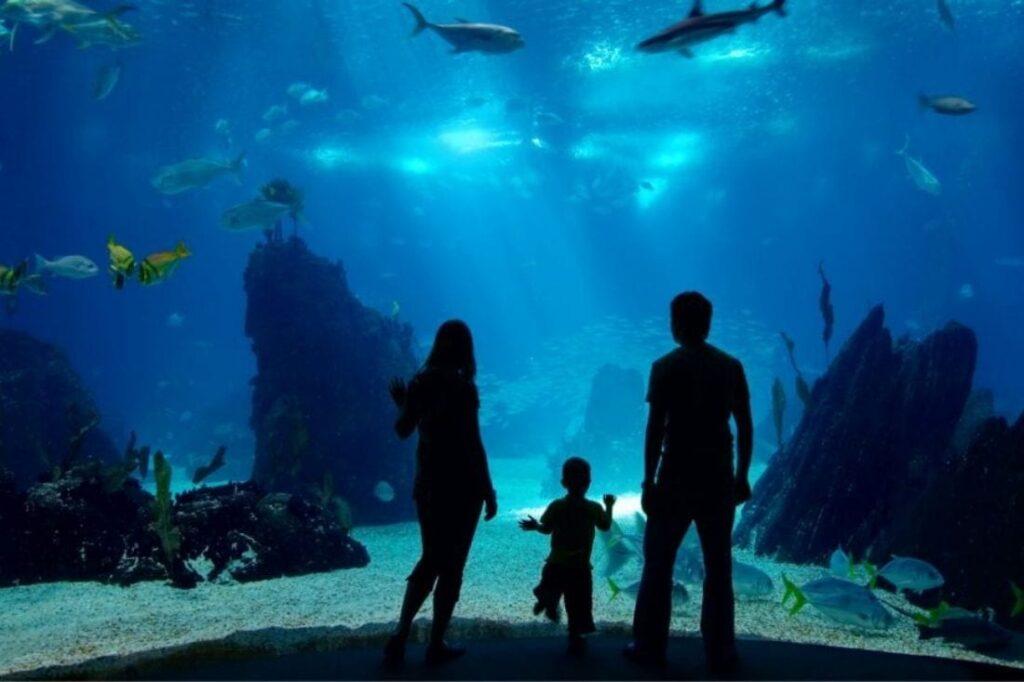 Indoor Activities in Vancouver from Our Downtown Rentals