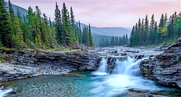 Screen Shot 2020 07 29 at 5.10.39 PM 1