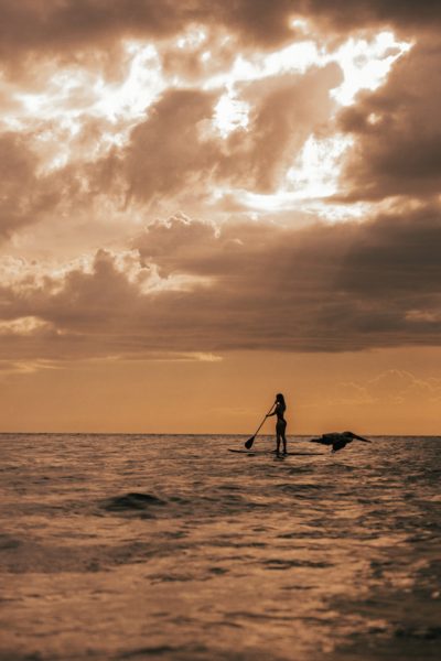 Screen Shot 2020 12 16 at 1.28.18 PM