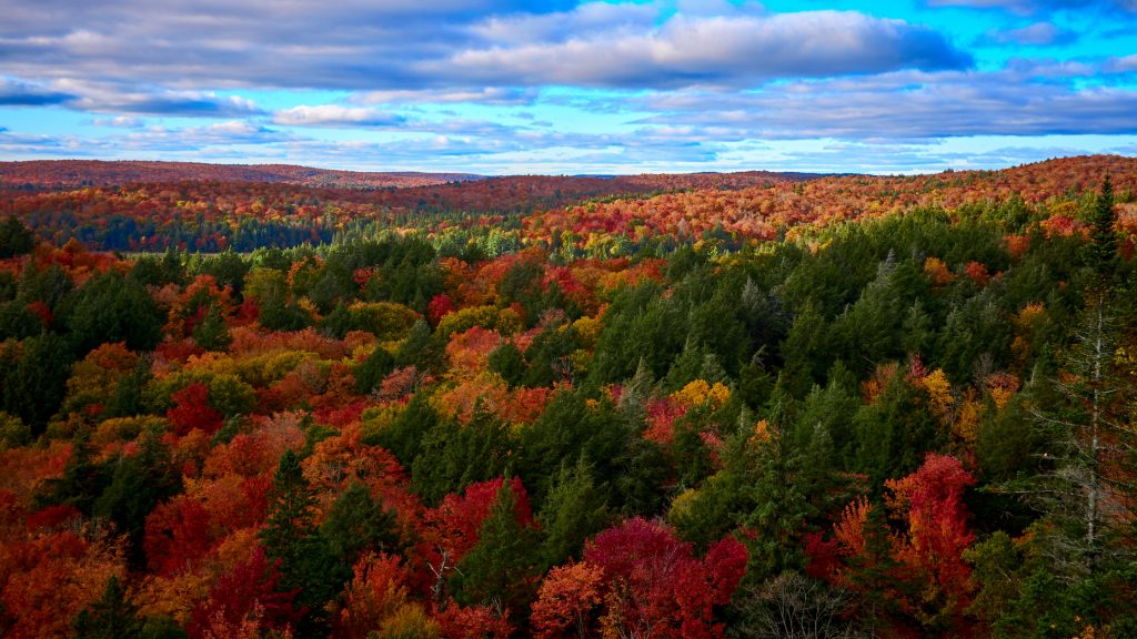 algonquin park 1024x576 1