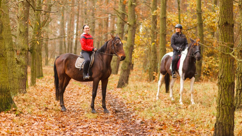 horseback 1024x576 1