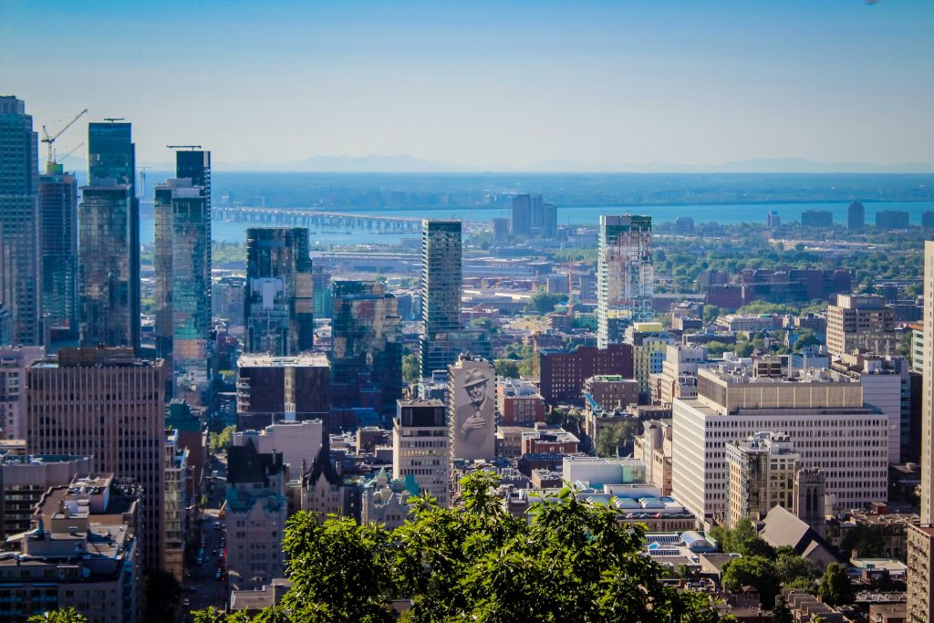 View of the sunny city of Montreal, summer, tree, landscape.