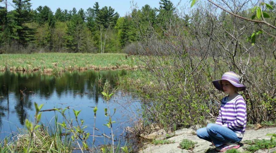 South March Highlands Conservation Forest is the perfect spot to explore Ottawa's natural biodiversity.